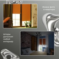 Рулонные шторы Franc Gardiner Blackout Silver 55x160 7799132 (оранжевый)