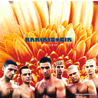  Виниловая пластинка Rammstein - Herzeleid (Remastered)