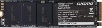 Digma Mega S3 1TB DGSM3001TS33T