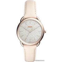 Наручные часы Fossil Tailor ES4421