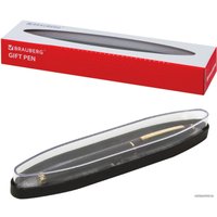 Ручка перьевая BRAUBERG Brioso 143467