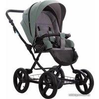 Универсальная коляска AROTEAM Cocoline Prima (2 в 1, 09/рама черная)