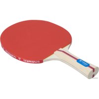 Ракетка для настольного тенниса TORNEO Hobby TI-B200