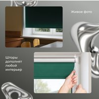 Рулонные шторы Franc Gardiner Blackout Silver 55x160 97284321 (изумрудный)