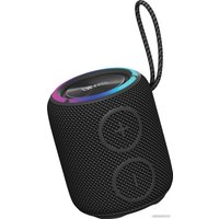 Беспроводная колонка Aiwa PAS-H100 (черный)