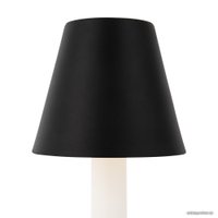 Настольная лампа Maytoni Tet-a-tet MOD104TL-3AB3K