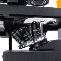 Микроскоп Magus Lum VD500L LCD 83023