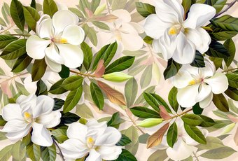 Фотообои Vimala Южные цветы 270x400