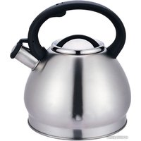 Чайник со свистком Astiat AST1035