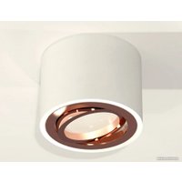 Точечный светильник Ambrella light Techno spot XS7510005 SWH/PPG