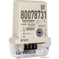 Счетчик электроэнергии Энергомера СЕ 208 BY С1.146.2.JR.QUKVFZ (5(100)А, опто, радио)