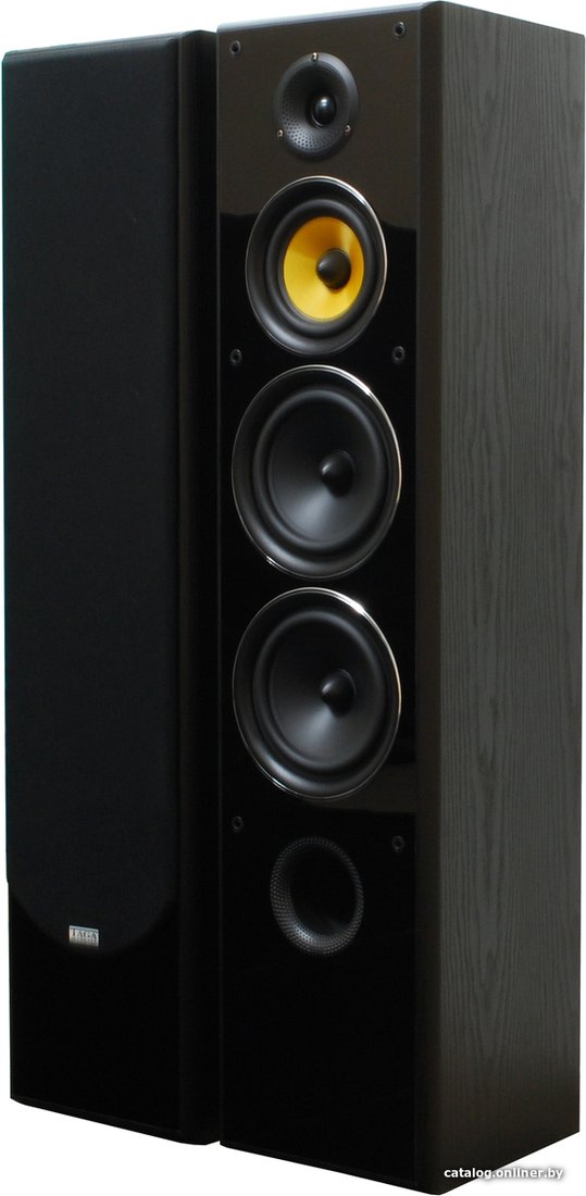 Напольная акустика Taga Harmony TAV-606F v.3 (черный)