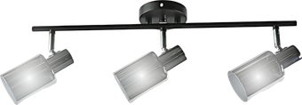Припотолочная люстра Aitin Pro НПБ 02-3x60-102 52163/3A (черный/хром)