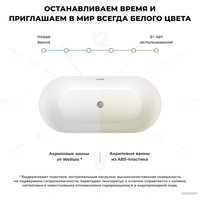 Ванна Wellsee Croquis 166x77 230302001 (отдельностоящая ванна матовый белый/матовый черный, экран, ножки, сифон-автомат хром)
