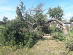 Фото покупателя