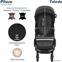 Коляска прогулочная «книга» Pituso Toledo EVA (черный)