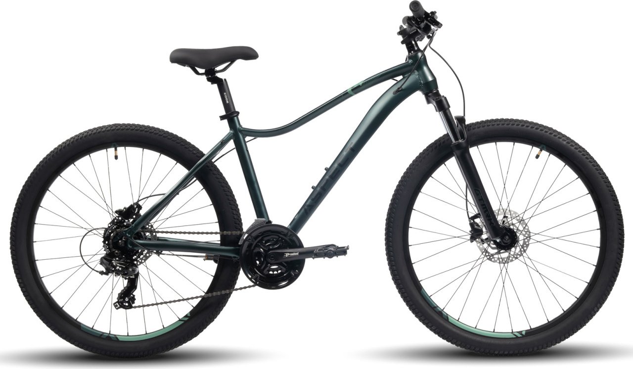 

Велосипед Aspect Oasis HD 26 S 2024 (темно-зеленый)