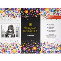 Алмазная мозаика  Феникс+ Девушка с котом. Осень 70850