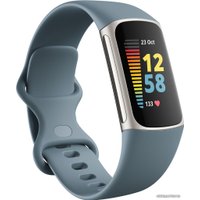 Фитнес-браслет Fitbit Charge 5 (синий)