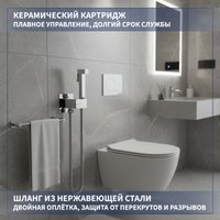 Гигиенический душ Lauter Rainix 21LT7711CH