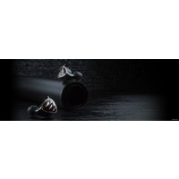 Наушники FiiO FH5s (черный)