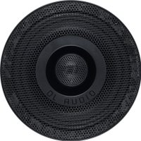 Коаксиальная АС DL Audio Anaconda 165 Coax