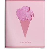 Полуобщая тетрадь Schoolformat Необычное мороженое ТОК48-НМО (48 л)