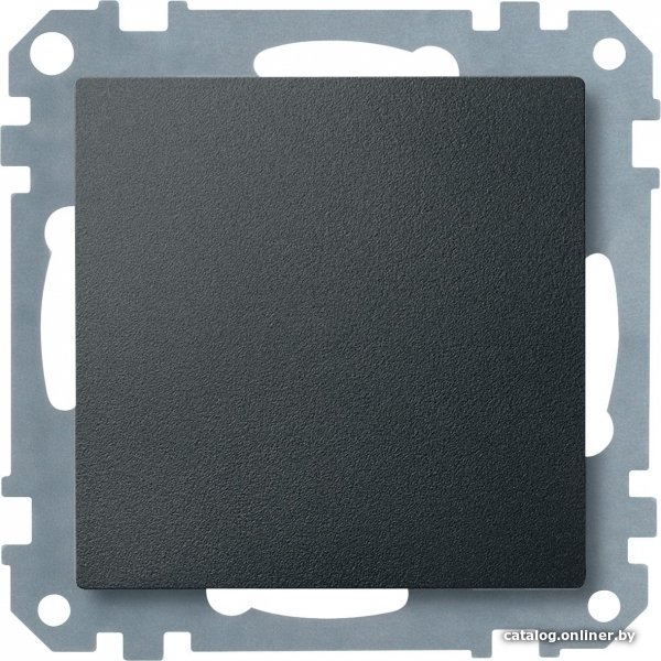 Декоративная заглушка Schneider Electric Merten MTN391814