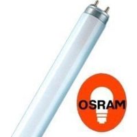 Люминесцентная лампа Osram L 36W/765 36Вт T8 6500К G13