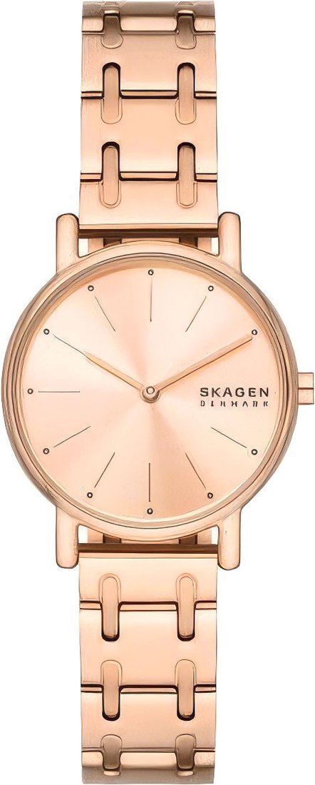

Наручные часы Skagen SKW3125