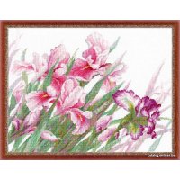 Набор для вышивания Риолис Ирисы 100/024