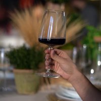 Набор бокалов для красного вина Bormioli Rocco Planeo 3.65749-4 (4шт)