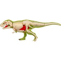 Набор для опытов Эврики Диномир. Тираннозавр. Строение тела динозавра 301 10179823