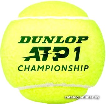 Dunlop ATP Championship (3 шт)