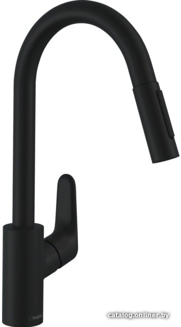 Смеситель Hansgrohe Focus M41 31815670