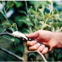 Нож для прививки Fiskars Solid K62 1001623