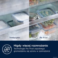 Холодильник Electrolux TwinTech No Frost 600 CustomFlex ENT6ME19S