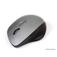 Мышь SmartBuy 309AG Silver/Black (SBM-309AG-SK)