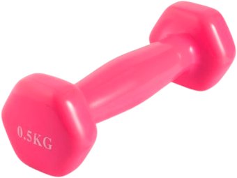 Гантель VictoryFit VF-DV005 0.5 кг