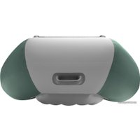 Моторная лодка Roger Boat Trofey 3100 (без киля, зеленый/серый)