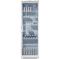 Однокамерный торговый холодильник POZIS Свияга 538-9