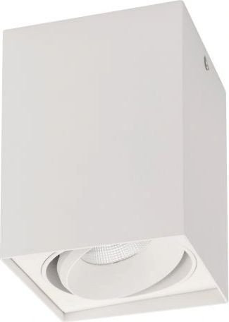 

Точечный светильник Arlight SP-CUBUS-S100x100-11W Day4000 023078(2)