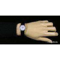 Наручные часы Skagen SKW2209