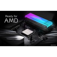 Оперативная память ADATA XPG Spectrix D45G RGB 2x8ГБ DDR4 4400 МГц AX4U44008G19K-DCBKD45G