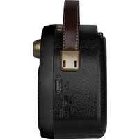 Радиоприемник Ritmix RPR-040 (черный)