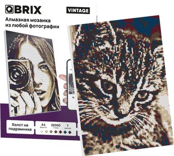 QBRIX Vintage 40005