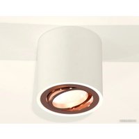 Точечный светильник Ambrella light Techno spot XS7531005 SWH/PPG