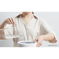 Увлажнитель воздуха Xiaomi Mijia Air Humidifier MJJSQ02LX (китайская версия)