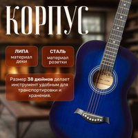 Акустическая гитара ROKSO FT-R38B-BLS