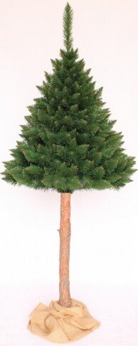 Сосна Toyland Гималайская Делюкс на штамбе 1.6 м